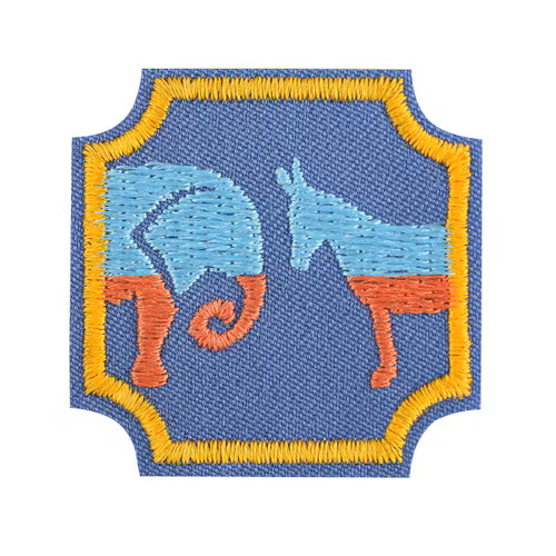 Democracy for Ambassadors Badge