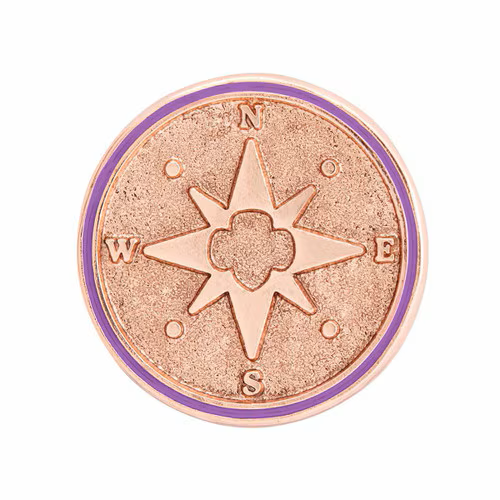 Junior True North Award Pin