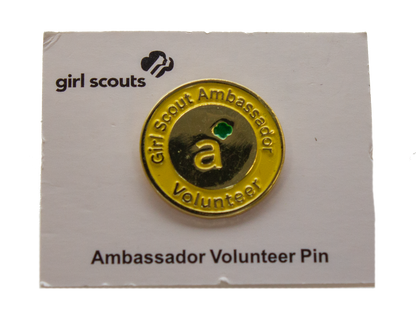Troop Level Volunteer Pins