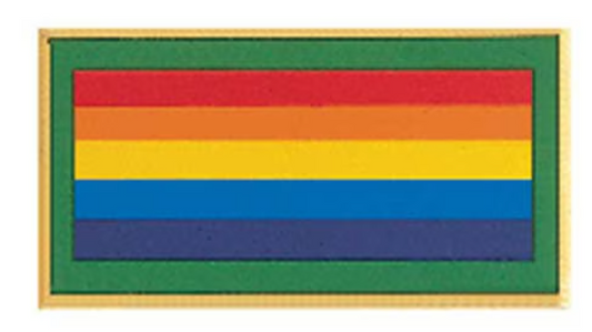 Bridge to Adult Pin