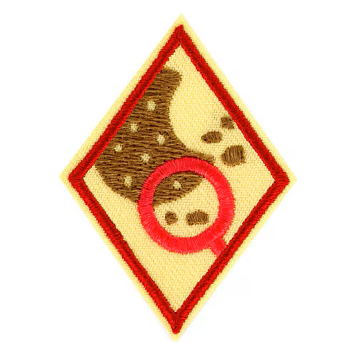 Cadette Cookie Market Researcher Badge