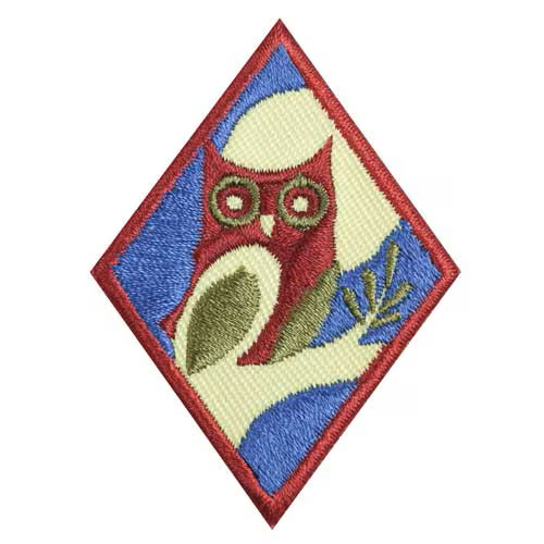 Junior Night Owl Badge