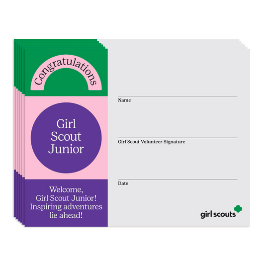 Junior Bridging Certificate