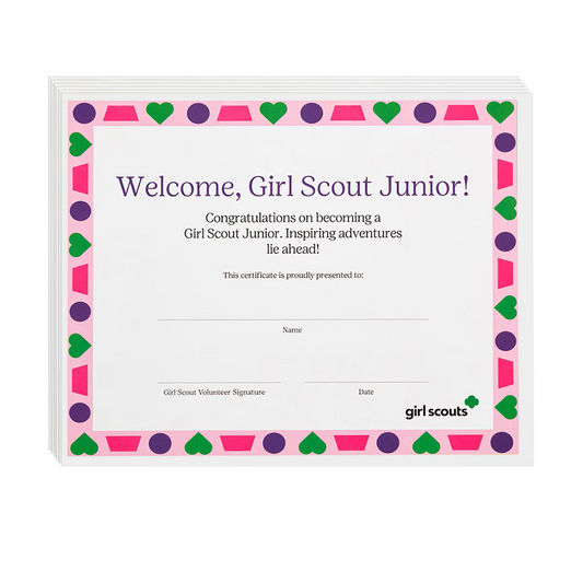Junior Bridging Certificate