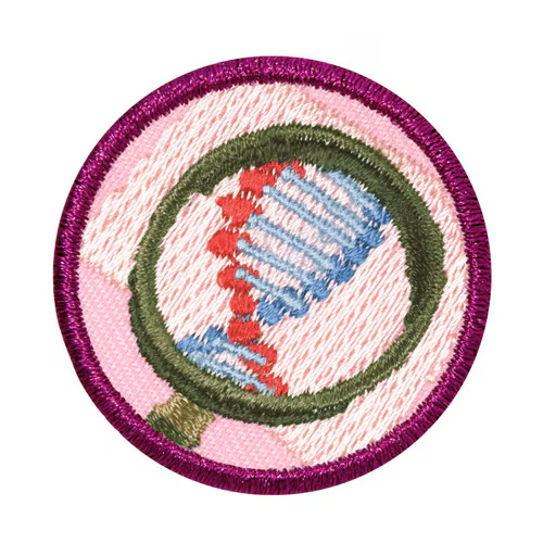 Junior Detective Badge