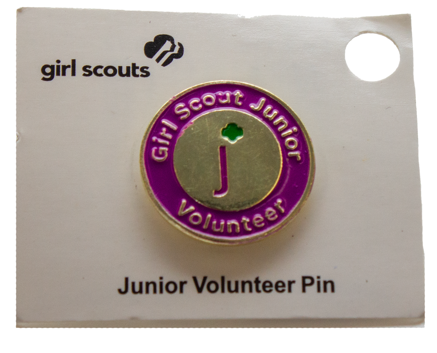 Troop Level Volunteer Pins