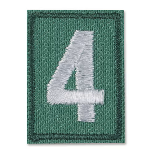 Junior-Cadette-Senior-Ambassador Troop Numbers