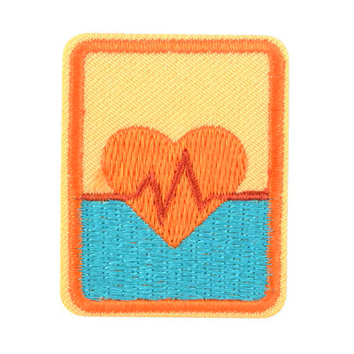 Senior First Aid Badge