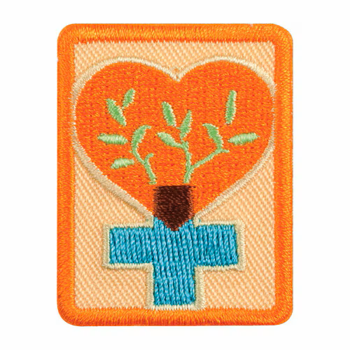 Senior Women's Health Badge