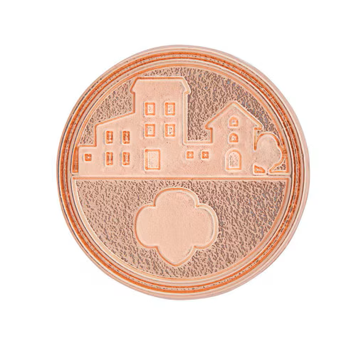 Take Action Award Pin